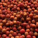 Appeljam